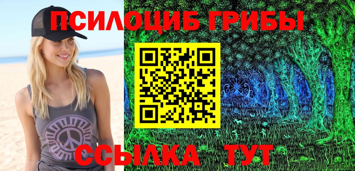 Галлюциногенные грибы Psilocybine cubensis Кинешма